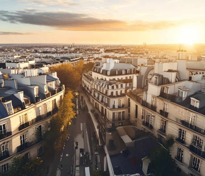 Vue aérienne des toits parisiens